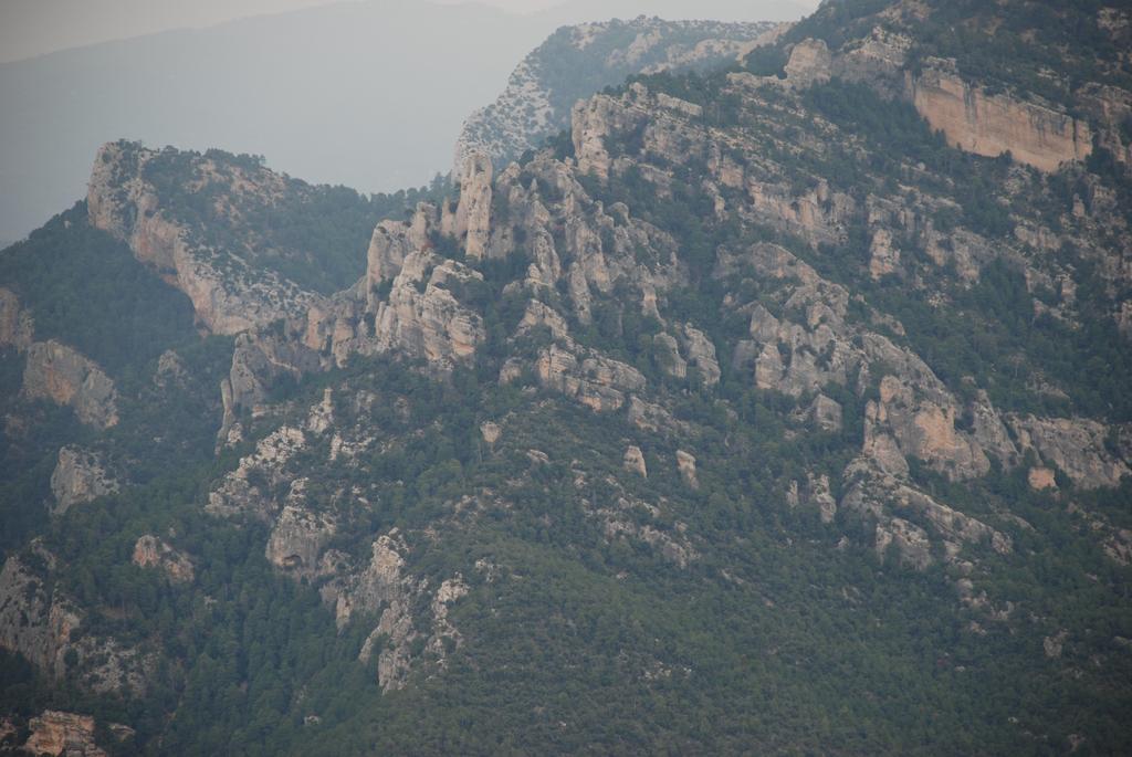 Masia De La Serra De La Cogulla Peñarroya de Tastavins 外观 照片